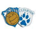 ulfarnir betsapi|Fram/Úlfarnir U19 .
